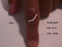 Click for larger image