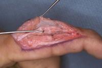 Click for larger image