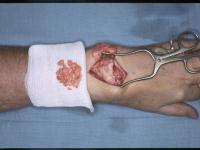 Click for larger image