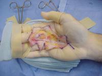 Click for larger image