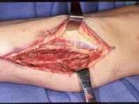 Click for larger image