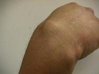 Click for larger image