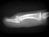 Click for larger image