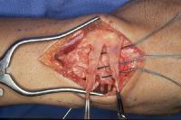 Click for larger image