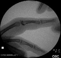 Click for larger image