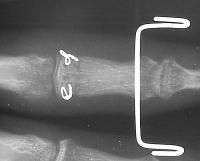 Click for larger image