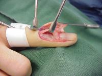 Click for larger image