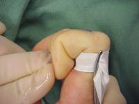 Click for larger image