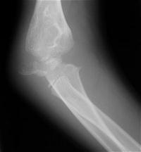 Click for larger image