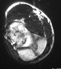 Click for larger image