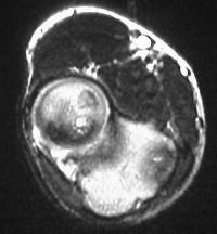 Click for larger image