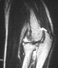 Click for larger image