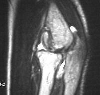 Click for larger image