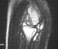 Click for larger image