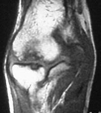 Click for larger image