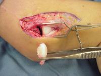 Click for larger image