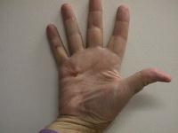 Click for larger image