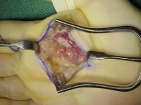 Click for larger image