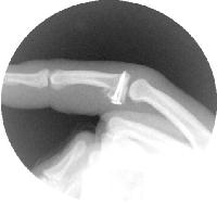 Click for larger image