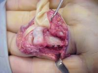 Click for larger image