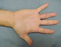 Click for larger image