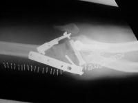 Click for larger image