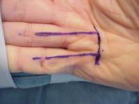 Click for larger image