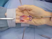 Click for larger image