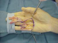 Click for larger image