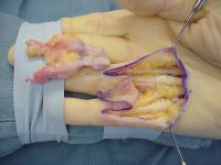 Click for larger image