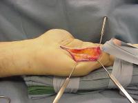 Click for larger image