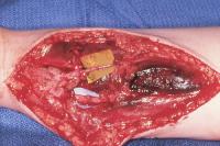 Click for larger image