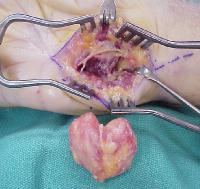 Click for larger image