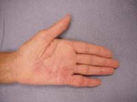 Click for larger image