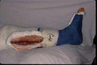 Click for larger image