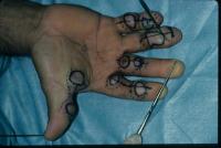 Click for larger image