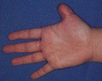 Click for larger image