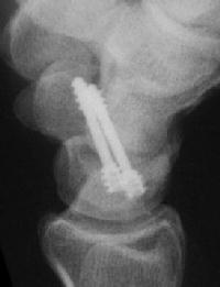 Click for larger image