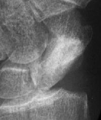 Click for larger image