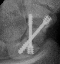 Click for larger image