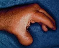 Click for larger image