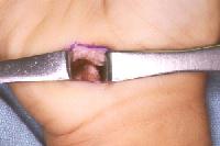 Click for larger image