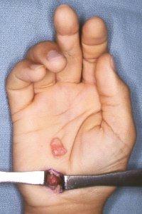 Click for larger image