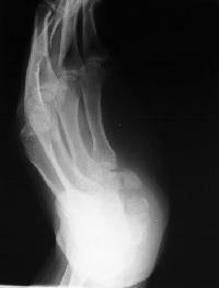 Click for larger image